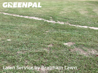 Lawn Mowing Service nearby Gonzales, LA, 