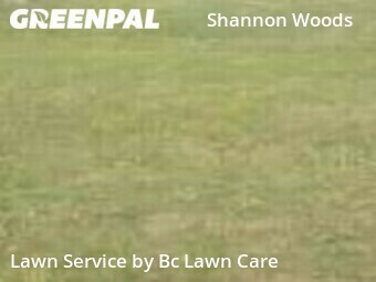 Grass Cutting nearby Raleigh, NC, 
