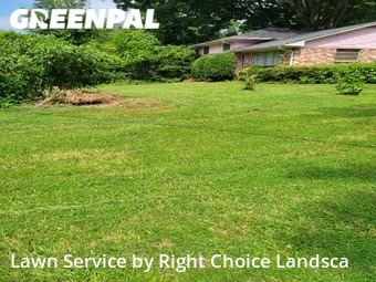 Yard Cutting nearby Decatur, GA, 