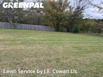 Lawn Maintenance nearby New Hope, AL, 