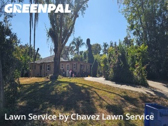 Lawn Cutting nearby Valrico, FL, 