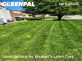 Grass Cutting nearby Indianapolis, IN, 