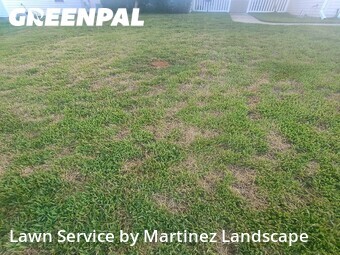 Yard Cutting nearby The Villages, FL, 