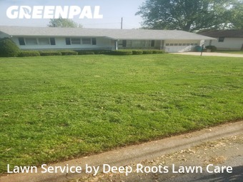 Lawn Cut nearby Springfield, MO, 