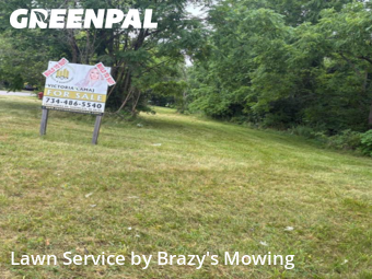 Grass Cutting nearby Taylor, MI, 