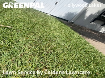 Landscapers In Hollywood,33019,Landscapers by Caidens Lawncare , work completed in Jul , 2026