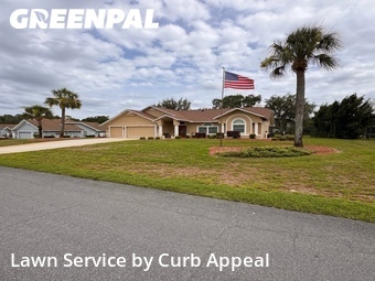 Lawn Cut nearby Spring Hill, FL, 