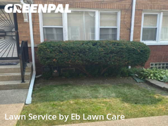 Lawn Cut nearby Bellwood, IL, 