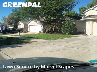 Lawn Mow nearby Orlando, FL, 