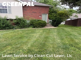 Yard Mowing nearby Blue Springs, MO, 