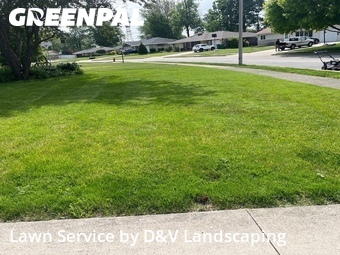 Grass Cut nearby Joliet, IL, 