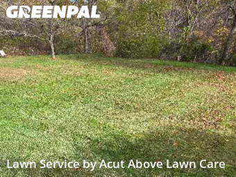 Grass Services in Pittsburgh, 15226, Lawn Services by Acut Above Lawn Care, work completed in Nov , 2025