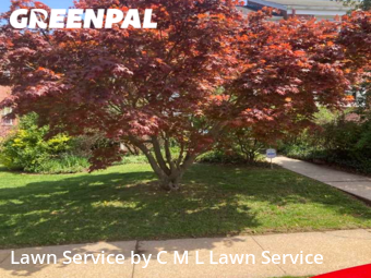 Grass Cut nearby Towson, MD, 