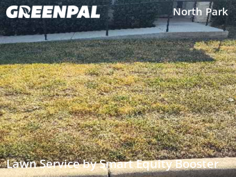 Turf Services in Pflugerville, 78660, Yard Maintenance by Smart Equity Booster, work completed in Nov , 2025