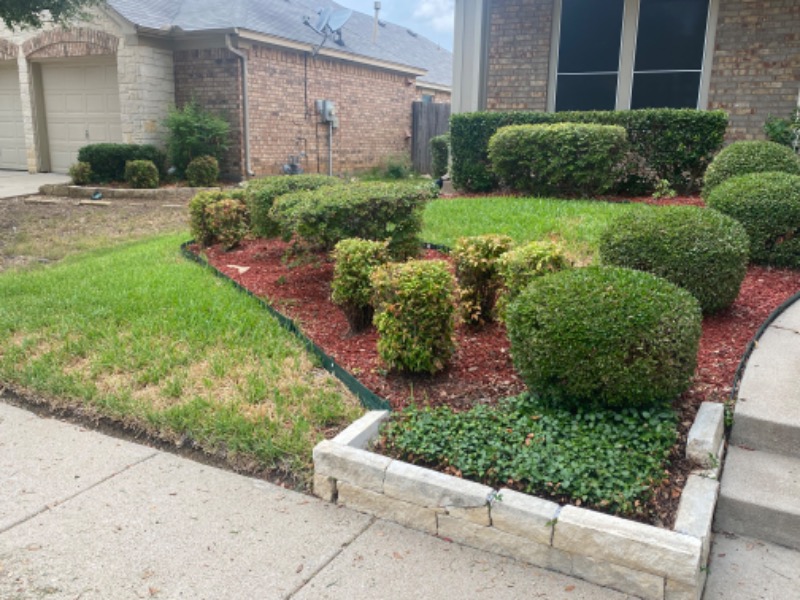 Yard mowing company in Arlington, TX, 76017