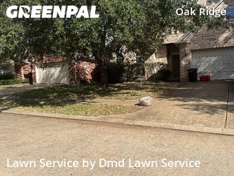 Residential Landscaping In Houston,77084,Landscaping Cleanup by Dmd Lawn Service, work completed in Nov , 2025