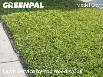 Grass Cutting nearby Miami, FL, 