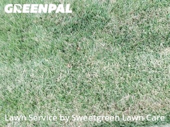 Lawn Mowing Service nearby Verona, PA, 