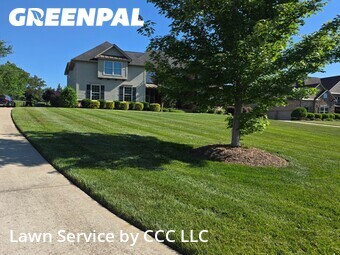 Yard Cutting nearby Weddington, NC, 