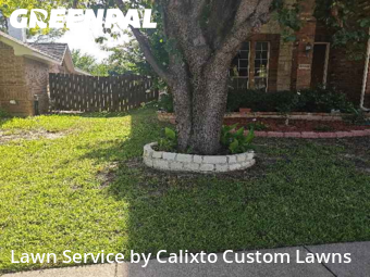 Grass Cuttingin Euless,76039,Lawn Mowing Service by Calixto Custom Lawns, work completed in Dec , 2025