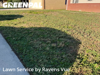 Lawn Cuttingin Longmont,80501,Lawn Service by Ravens Vue, work completed in Nov , 2025