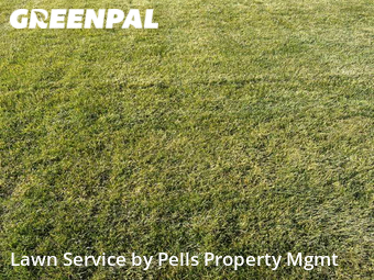 Lawn Service nearby Wixom, MI, 