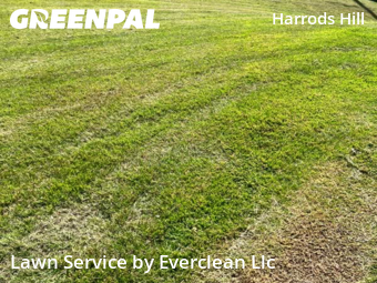 Yard Care Services in Lexington, 40513, Backyard Mowing by Everclean Llc, work completed in Nov , 2025