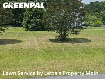 Lawn Mow nearby Willow Spring, NC, 