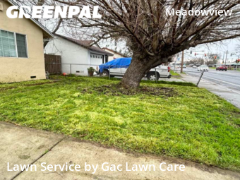 Lawn Care Service nearby Sacramento, CA, 