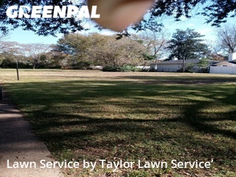 Grass Cutting nearby Shreveport, LA, 