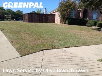 Lawn Care Servicein Keller,76248,Lawn Service by Olive Branch Lawn, work completed in Nov , 2025