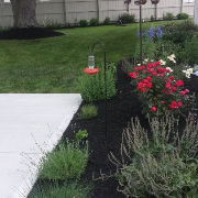 local-lawn-cutting-services-in-Wells Branch-TX