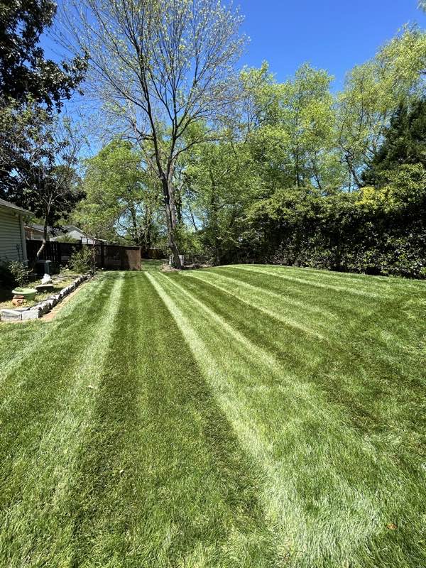 Yard Genie Mowing Lawn Care Services in Charlotte, NC