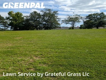 Lawn Care Service nearby Greenville, SC, 