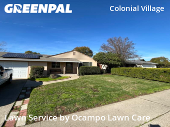 Grass Cut nearby Sacramento, CA, 