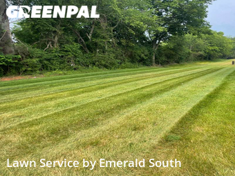 Lawn Mow nearby Murfreesboro, TN, 