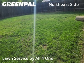 Grass Cut nearby San Antonio, TX, 