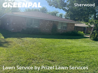 Lawn Carein Pasadena,77502,Grass Cutting by Prizel Lawn Services, work completed in Nov , 2025