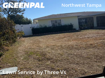 Landscapers In Tampa,33607,Landscaping Renovation by Three Vs , work completed in Feb , 2026
