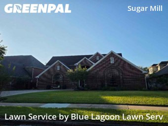 Lawn Maintenancein Sugar Land,77498,Lawn Mow by Blue Lagoon Lawn Serv, work completed in Dec , 2025