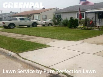 Yard Upkeep in Wyandotte, 48192, Yard Care by Pure Perfection Lawn, work completed in Nov , 2025