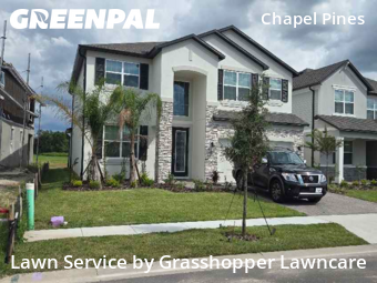 Lawn Cutting nearby Wesley Chapel, FL, 