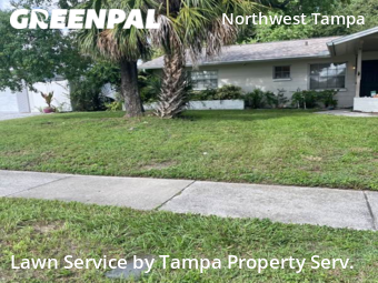 Lawn Cutting nearby Tampa, FL, 