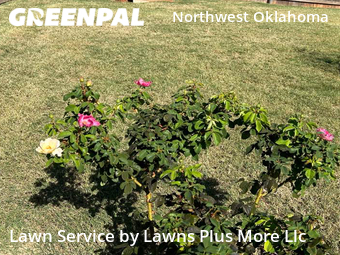Lawn Mowing nearby Edmond, OK, 