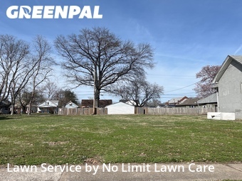 Yard Mowing nearby Granite City, IL, 