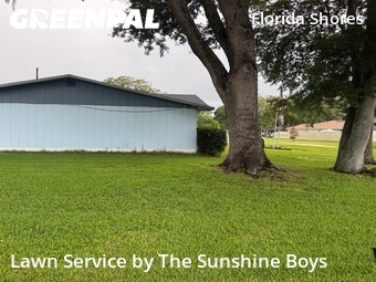 Grass Cut nearby Edgewater, FL, 