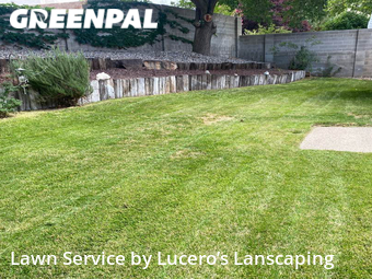 Lawn Care nearby Albuquerque, NM, 