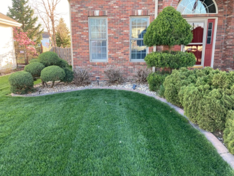 Mtz Lawn Maintenance Lawn Care Services in Lincoln, NE