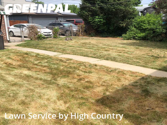 Grass Cutting nearby Denver, CO, 