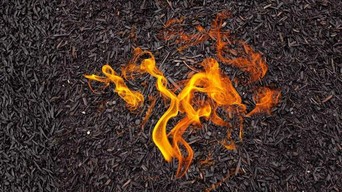 Professional landscaper trimming green grass with a string trimmer